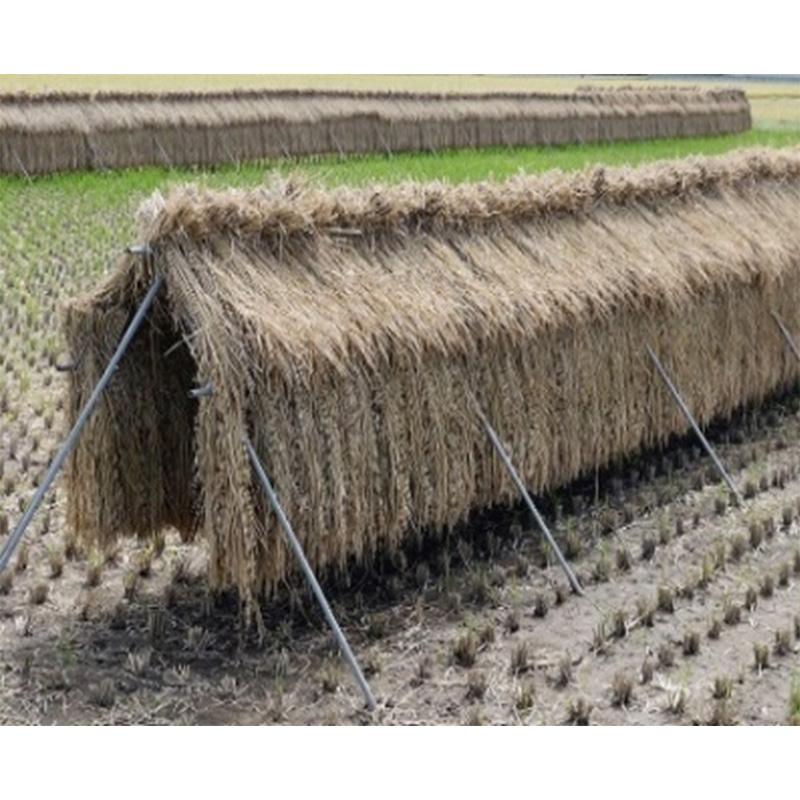 ほすべー　稲干台　天日干し　大量　200本ぐらい？ 稲の掛け干し ほすべー｜農業用資材・園芸用品｜南榮工業株式会社