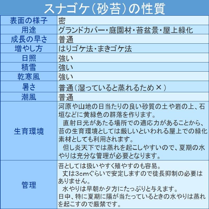 国産 砂苔 300×600mm 星屑のような葉 庭園材 苔盆景 屋上緑化 アクアテラリウム 直立3cm 天然 日照に強い 積雪に強い 苔 スナゴケ 日建 代引不可 :650041:プラスワイズ業務店 - 通販 - Yahoo!ショッピング 国産 砂苔 300×600mm 星屑のような葉 庭園材 苔盆景 屋上緑化 アクアテラリウム 直立3cm 天然 日照に強い 積雪に強い 苔 スナゴケ 日建 代引不可 :650041:プラスワイズ業務店 - 通販 - Yahoo!ショッピング