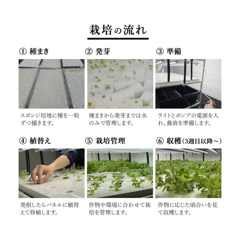 組み立てが楽！／ 水耕栽培キット ネオテラス LED一体型完全室内用栽培