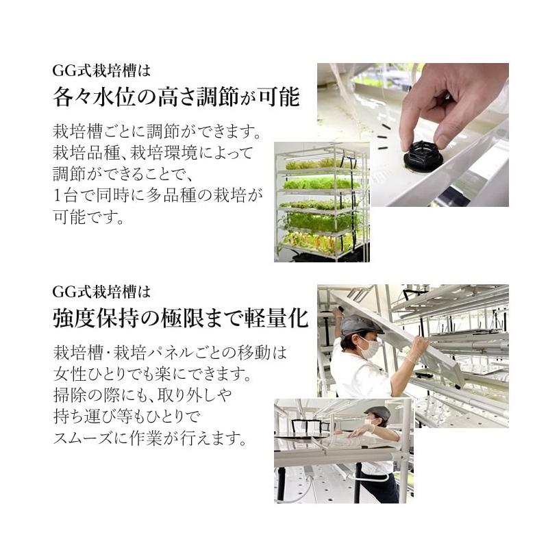 組み立てが楽！／ 水耕栽培キット ネオテラス LED一体型完全室内用栽培