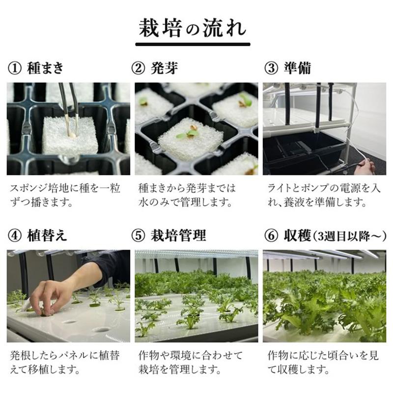 組み立てが楽！／ 水耕栽培キット ネオテラス LED一体型完全室内用栽培