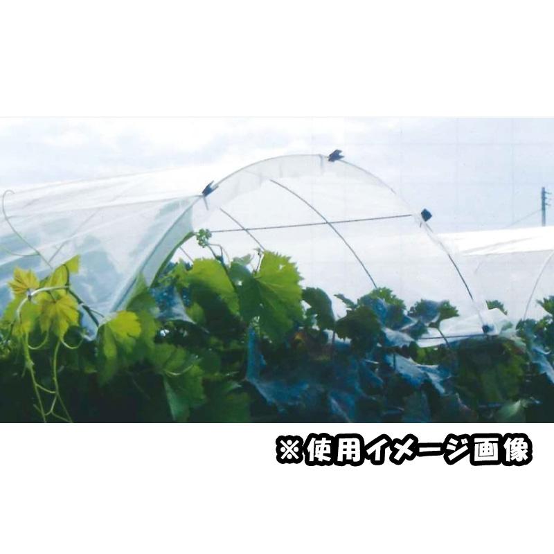 10枚 トンネルメッシュ B型 完成品 3.2×1200×2460mm ブドウ 葡萄