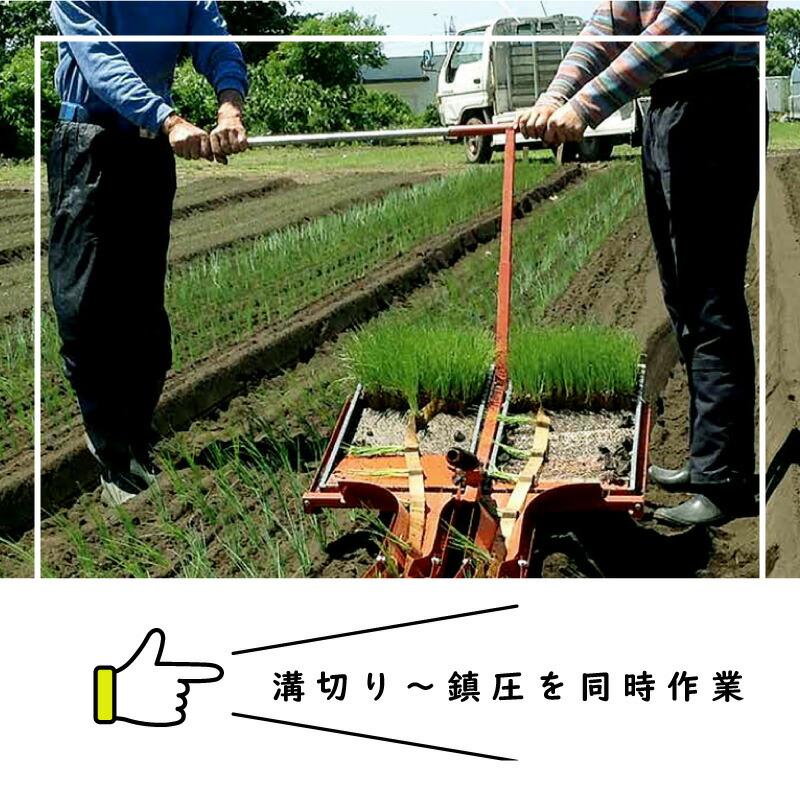 ひっぱりくん HP-7IV 溝切深さ:53mm 2条用 チェーンポット簡易移植機