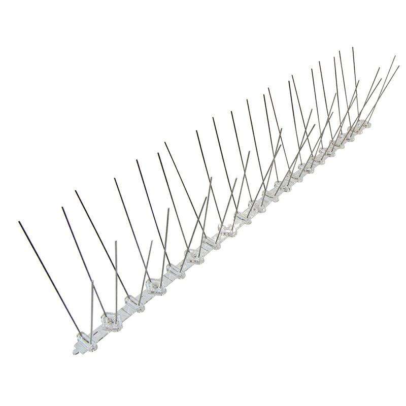 ピー助 NF8jjRj3_200x200.jpg