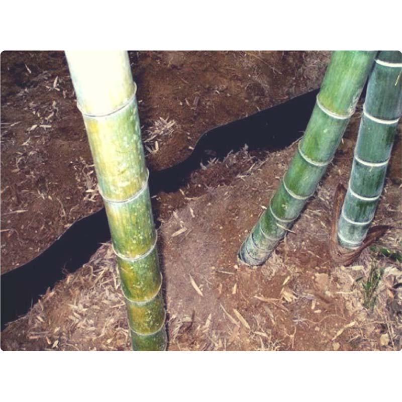 2巻　防根シート　ルートストッパー　TBS-120-20　竹用根茎調整材　1.2m×20m　Ver.3　個人宅配送不可　共B　北海道配送不可　谷口産業　代引不可