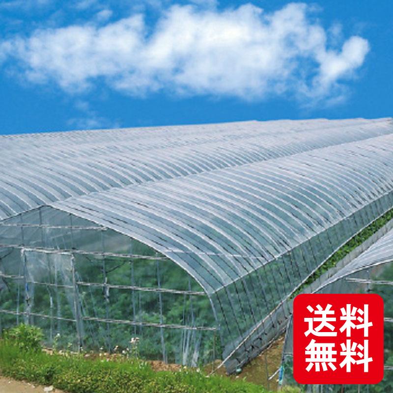 全商品オープニング価格特別価格 個人宅配送不可 超天 農ビ 厚さ 0 2mm 幅 370cm 長さ 100m ビニールハウス アキレス カ施 送料無料 代引不可 最安 Www Maxipiso Com Ar