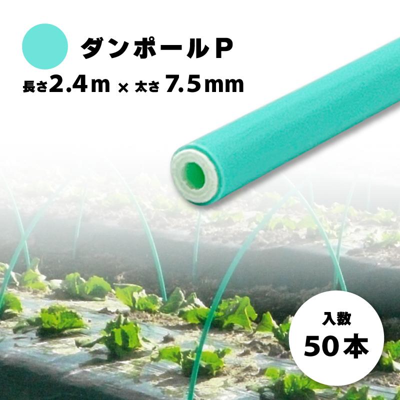 50本 ダンポールP マル75 緑 長さ 2.4m × 太さ 7.5mm 農業資材 農業用