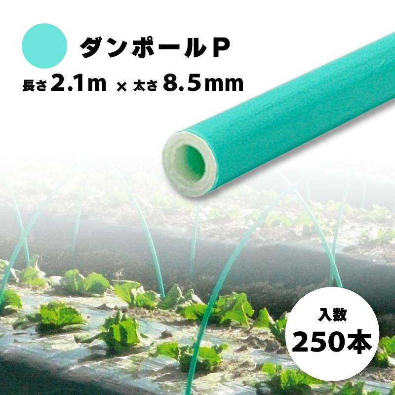 個人宅配送不可 250本 ダンポールパイプp マル85 緑 2 1m 緑 農業用トンネル支柱 園芸 畑作 畑作 250本 宇部エクシモ タ種 代引不可 プラスワイズ法人専門店