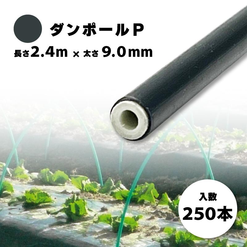 250本 ダンポールパイプp 90 グレー 2 4m 離島 個人宅配送不可 90 農業用トンネル支柱 園芸 園芸支柱 グリーンフェンス 畑作 宇部エクシモ タ種 離島 個人宅配送不可 代引不可 プラスワイズ業務店