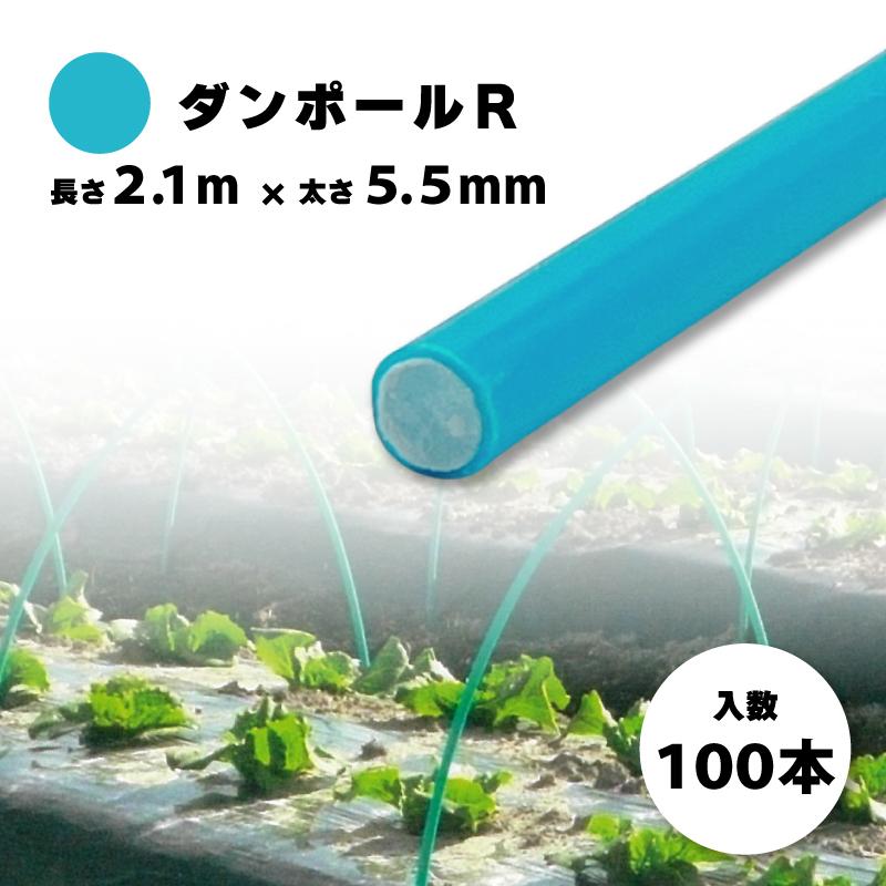 100本 ダンポールR マルE55 Eブルー 長さ 2.1m × 太さ 5.5mm 農業資材