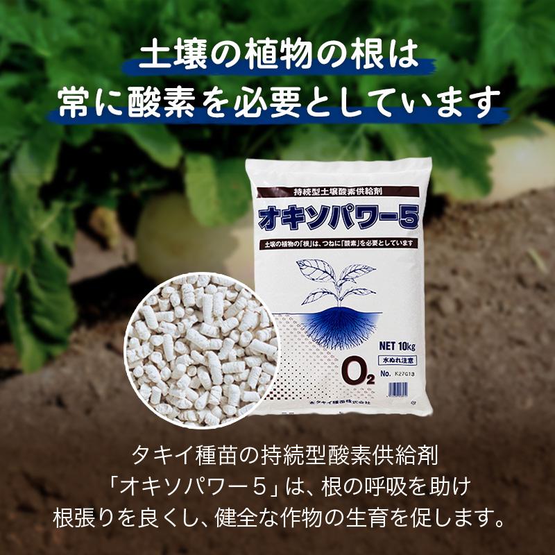 オキソパワー5 酸素供給剤 10kg 国産 発根促進 根張り 肥料 吸収率 向上 効き目 長持ち 酸素供給 梅雨 台風 豪雨 対策 タキイ種苗 個人宅配送不可 代引不可 |  | 02