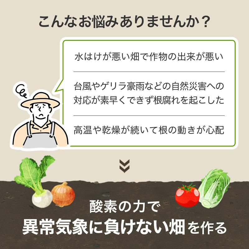 オキソパワー5 酸素供給剤 10kg 国産 発根促進 根張り 肥料 吸収率 向上 効き目 長持ち 酸素供給 梅雨 台風 豪雨 対策 タキイ種苗 個人宅配送不可 代引不可 |  | 03