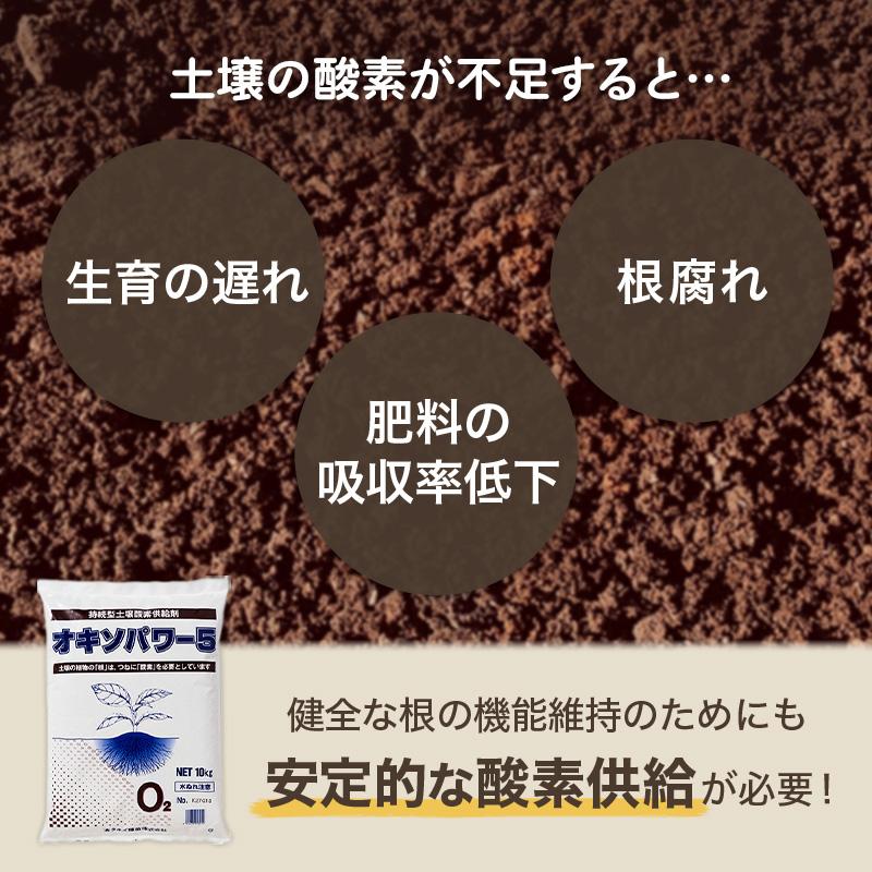 オキソパワー5 酸素供給剤 10kg 国産 発根促進 根張り 肥料 吸収率 向上 効き目 長持ち 酸素供給 梅雨 台風 豪雨 対策 タキイ種苗 個人宅配送不可 代引不可 |  | 04