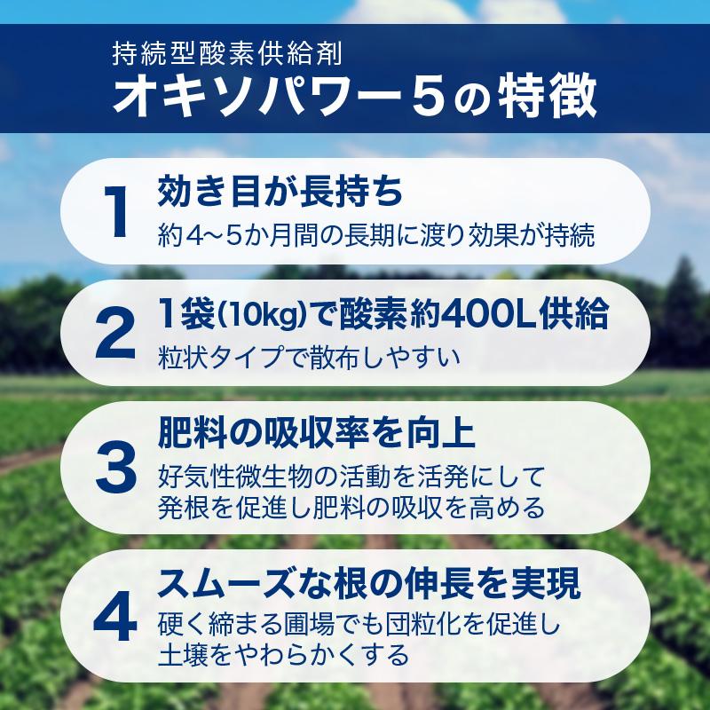 オキソパワー5 酸素供給剤 10kg 国産 発根促進 根張り 肥料 吸収率 向上 効き目 長持ち 酸素供給 梅雨 台風 豪雨 対策 タキイ種苗 個人宅配送不可 代引不可 |  | 05