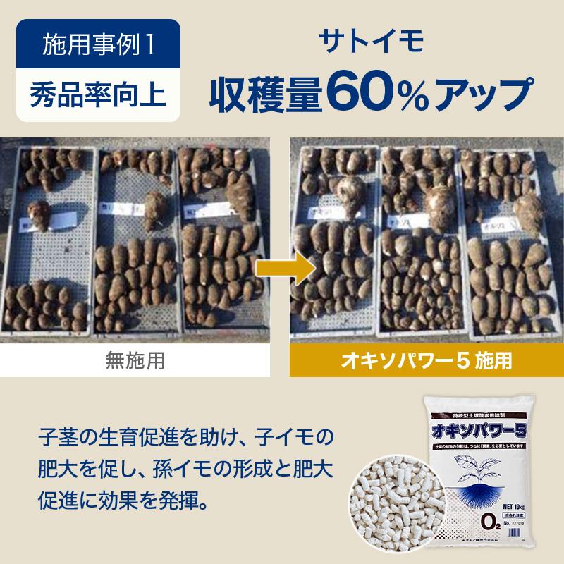 オキソパワー5 酸素供給剤 10kg 国産 発根促進 根張り 肥料 吸収率 向上 効き目 長持ち 酸素供給 梅雨 台風 豪雨 対策 タキイ種苗 個人宅配送不可 代引不可 |  | 06