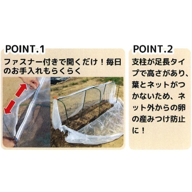 めざせ無農薬 足長防虫チャレンジセット 4セット 支柱 防虫ネット 枝豆 白菜 家庭菜園 防虫 害虫対策 第b 個人宅配送不可 代引不可 プラスワイズ業務店 通販 Yahoo ショッピング