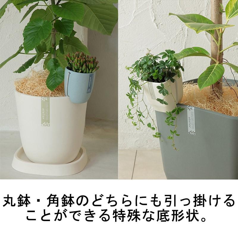 個人宅配送不可 120個 トッピングPOT 2.5寸用 ダークグレー アップルウェア― apple 直径89×97 インナーポット おしゃれ 黒 鉢 ポット タ種 代引不可 :93543:プラスワイズ業務店 - 通販 - Yahoo!ショッピング 個人宅配送不可 120個 トッピングPOT 2.5寸用 ダークグレー アップルウェア― apple 直径89×97 インナーポット おしゃれ 黒 鉢 ポット タ種 代引不可 :93543:プラスワイズ業務店 - 通販 - Yahoo!ショッピング