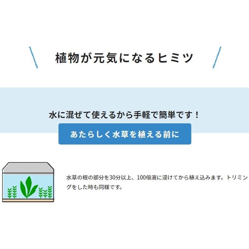 個 メネデール 水草の活力素 500ml 水槽 グリーン 水草 生育 生長 魚 安心 タ種 個人宅配送不可 D U763larnr0 Lionsenglishschool Edu In