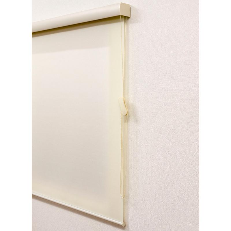 ロールスクリーン エクシブ プレーンタイプ 無地 幅x高さ 165×220cm カラー2種類 ブラインド 簡単取付 フルネス Lク 代引不可