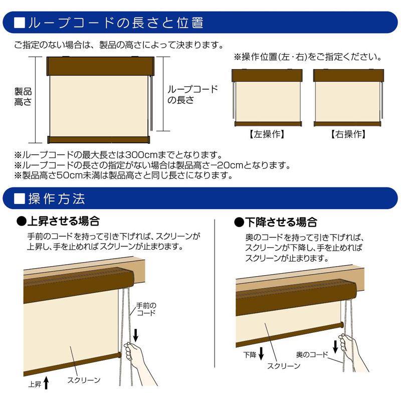ロールスクリーン エクシブ プレーンタイプ 無地 幅x高さ 165×220cm カラー2種類 ブラインド 簡単取付 フルネス Lク 代引不可