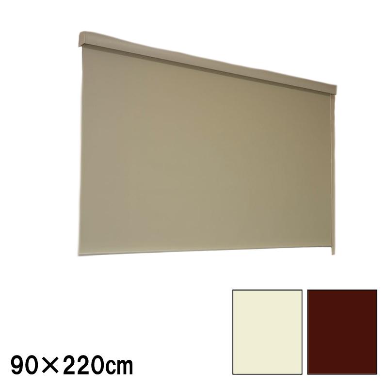 ロールスクリーン エクシブ 遮光タイプ 幅x高さ 90×220cm カラー2種類