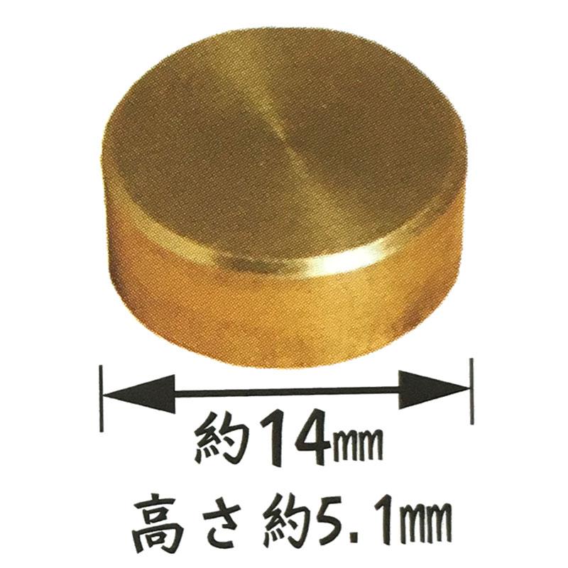 ネジキャップ ニッケルメッキ 丸平タイプ 50個入 プラ10号 屋内専用 ビス穴隠し ダンドリビス 【ドーム】 アMD