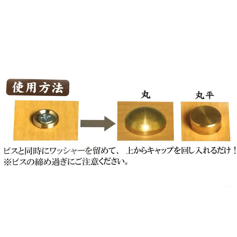 ネジキャップ ニッケルメッキ 丸平タイプ 50個入 プラ10号 屋内専用 ビス穴隠し ダンドリビス 【ドーム】 アMD