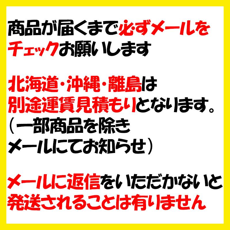 パイプ 車庫 倉庫 埋込式 GR-10 3.6mx 5.3ｍx2.4ｍ 22単管パイプ 南栄工業 個人宅配送不可 代引不可｜plusyskenchiku｜04