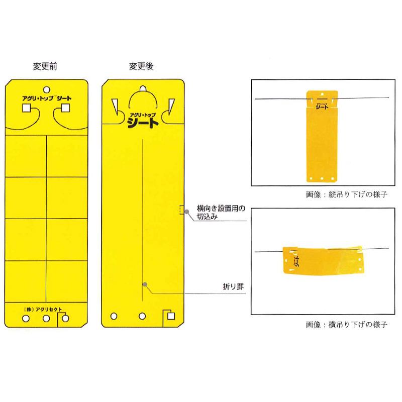 害虫　両面　粘着　徳用　トラップ　タS　12枚x22パック入　虫を　とる　ぴたっと　TAF611　アグリ　アグリセクト　トップシート　ブルー　代引不可