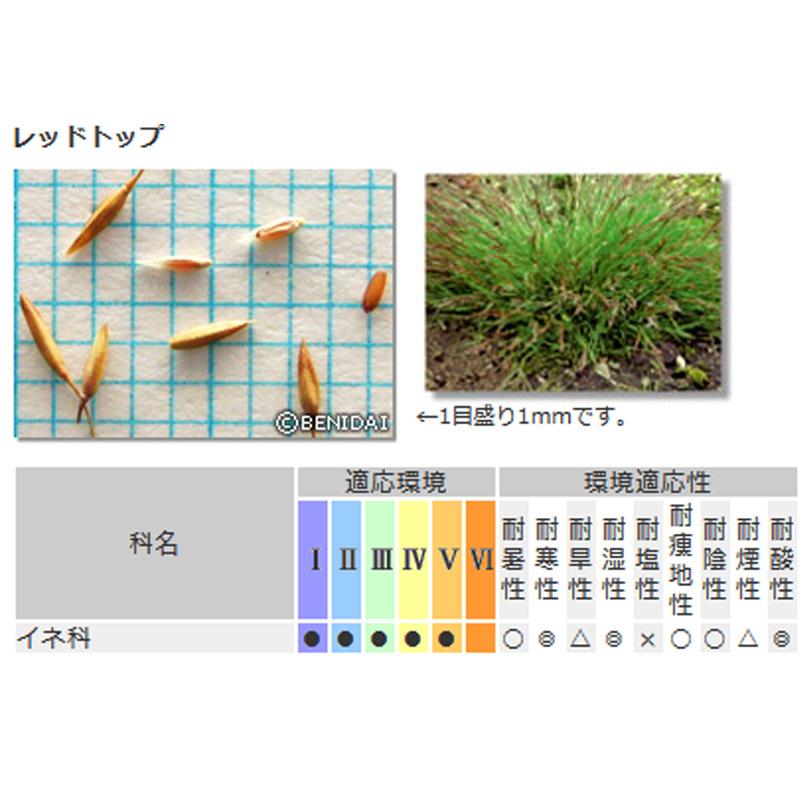 芝 草 種 レッドトップ コロニアルベントグラス類 1kg 種のみの
