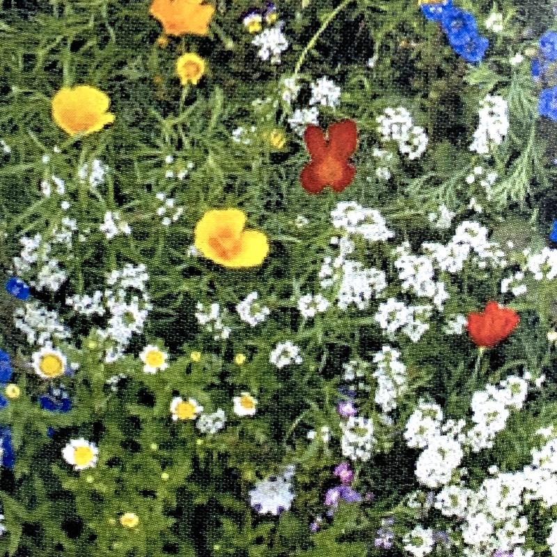 緑化用 フラワーミックス スーパーベビーブルーマーズ 13品種 種 1kg 種のみの販売 侵食防止 緑化 法面 種子 紅大 共b 代引不可 個人宅配送不可 プラスワイズ建築 通販 Yahoo ショッピング