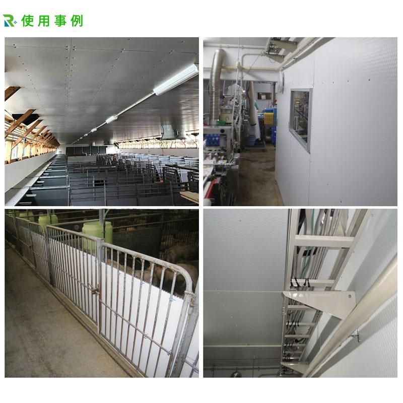 【新登場】 養生ボード プラパール 50枚入 5mm厚 1500ｘ2300 PDPPZ 軽量プラボード 畜舎の壁材天井材 川上産業 カ施 代引不可 個人宅配送不可 【EI3476083305】(125054円)