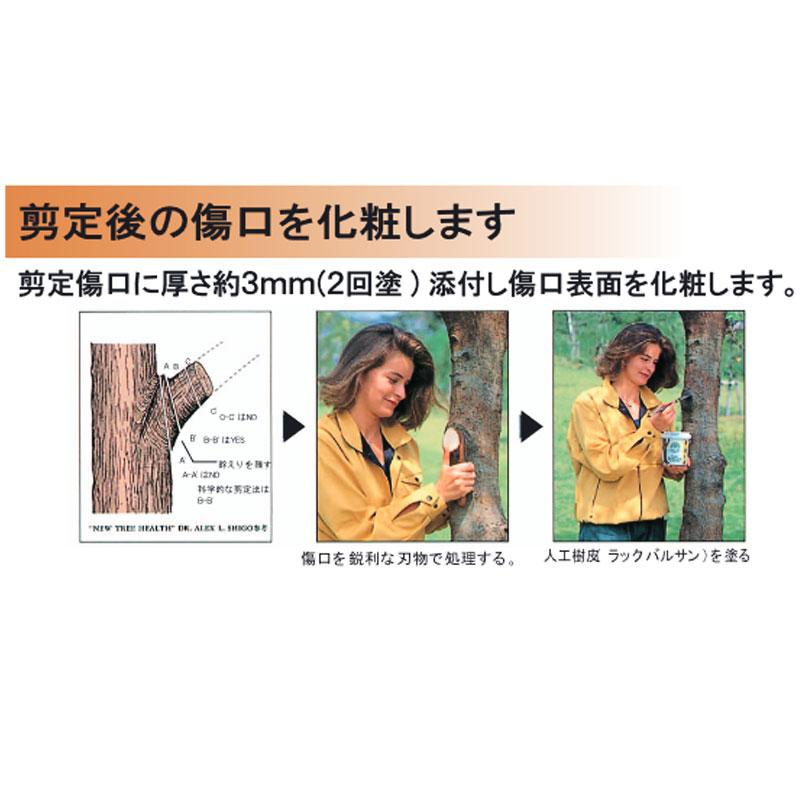 樹木傷口コーティング材 ラックバルサン 1kg 樹木剪定後 ケア 人工樹皮 東邦レオ 共BD