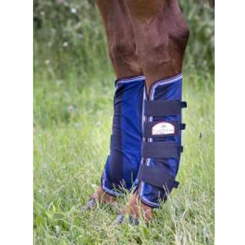 安心の定価販売 馬用 冷却プロテクター エクイテーマ クールダウンプロテクター Ts540 サイズ選択 肢巻 ホースブーツ 輸送用保護具 馬舎 厩舎用品 Equitheme Bロd 再再販 Www Aqtsolutions Com