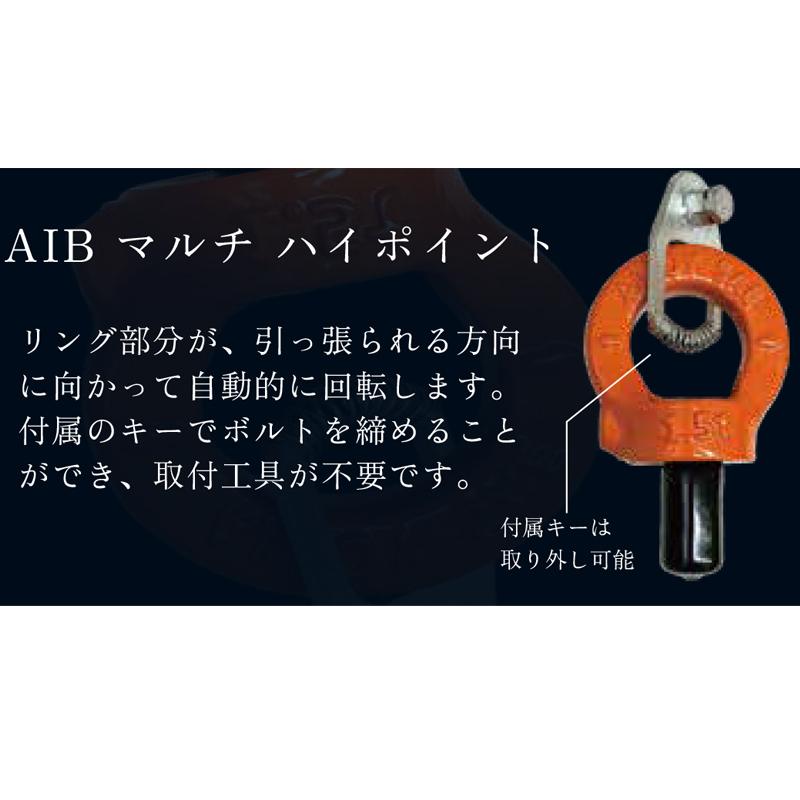 アイボルト マルチハイポイント AIB-M22-AP-2.3 使用荷重2.3t アイボルト マルチハイポイント AIB-M22-AP-2.3 使用荷重2.3t