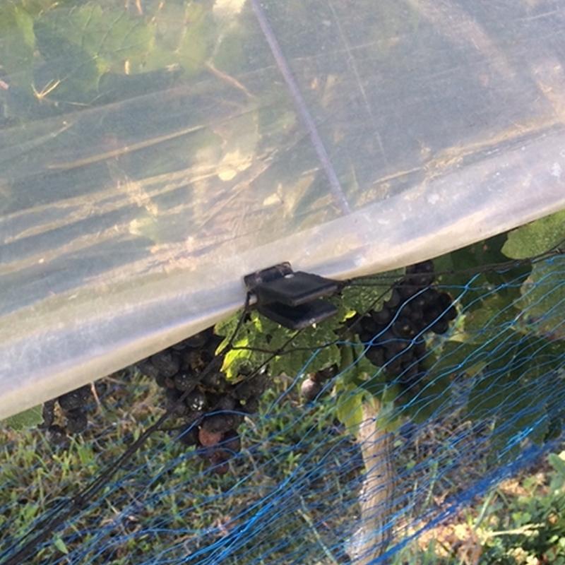 プッシュクリップ 屋外用 3mm 3000個入 K-2042 フィルム押さえ固定具