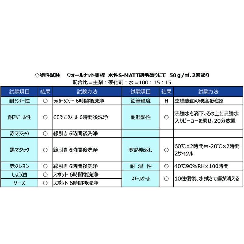 保護塗膜塗料 水性エスマット 6kg 主剤+硬化剤 XX-89 S-MATT 耐 保護塗膜塗料 水性エスマット 6kg 主剤+硬化剤 XX-89 S-MATT 耐