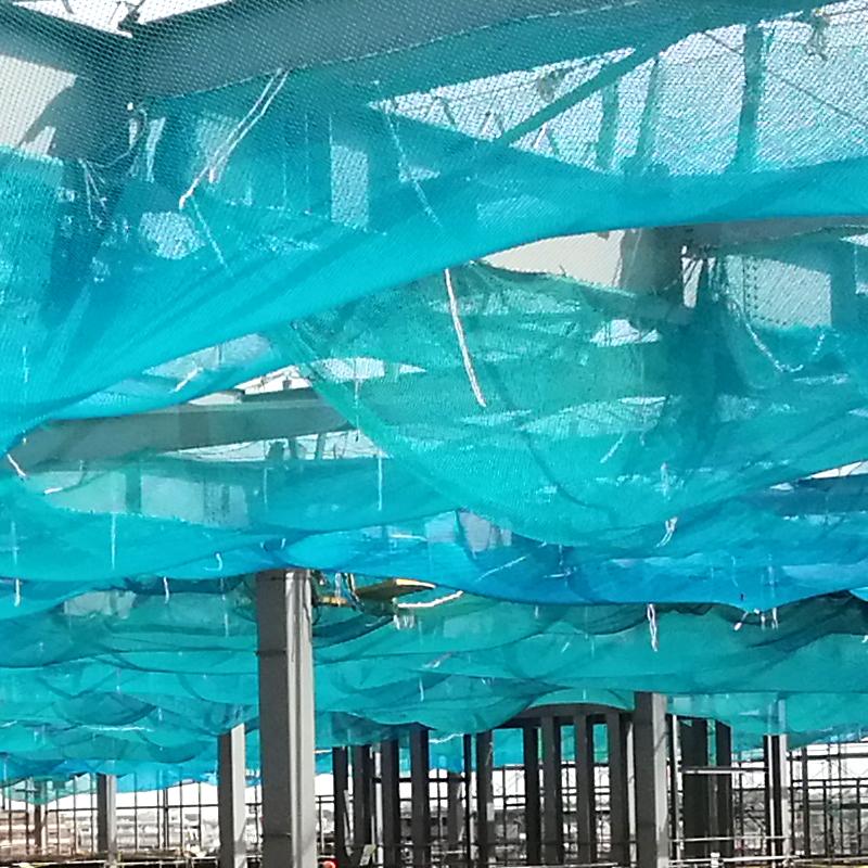 鉄骨建設用安全ネット 2x6m 防炎タイプ ブルー テープ色グリーン 仮設工業会認定品 アミ 代引不可 : 516075 : プラスワイズ建築 ...
