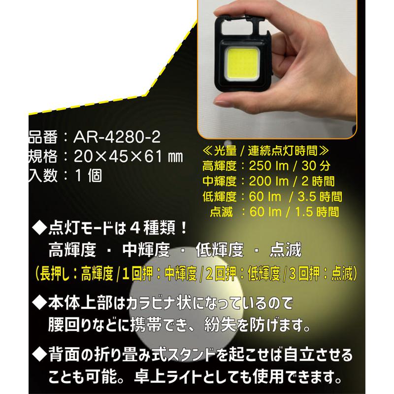 キーチェーンライト AR-4280-2 20x45x61mm 充電式 USB Type-Cケーブル充電 アラオ 代引不可｜plusyskenchiku｜04
