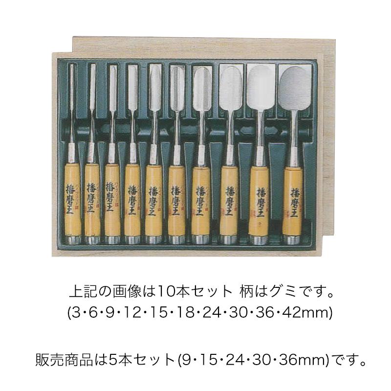 ノミ 鑿 のみ 組のみ 播磨王 ハイブリッド鋼 追入 黒丹 5本組 9・15