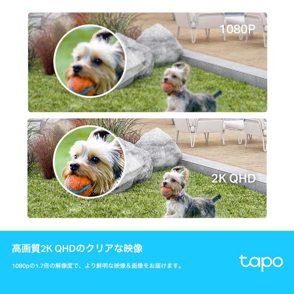 TP-LINK Tapo C420S2(JP) フルワイヤレスセキュリティカメラ TP-LINK Tapo C420S2(JP) フルワイヤレスセキュリティカメラ