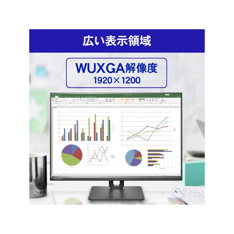 アイオーデータ LCD-DX251EPB-AG ワイド液晶ディスプレイ 25型/ 1920