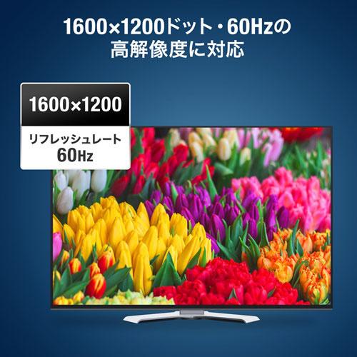サンワサプライ SW-EDV2N2 ディスプレイ切替器（DVI24pin用）・2回路