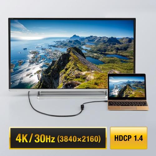 サンワサプライ AD-ALCHD02 USB Type-C - HDMI変換アダプタ（4K/ 30Hz）｜plusyu｜04