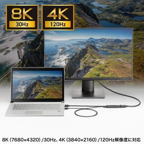 サンワサプライ AD-HD32DP HDMI-DisplayPort変換アダプタ（8K/ 30Hz）の画像