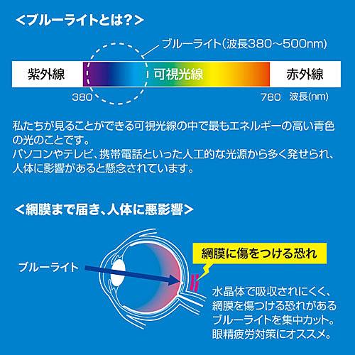 サンワサプライ LCD-IPAD9BCAR Apple iPad Air 2019/ 10.5インチiPad Pro 2017用ブルーライトカット液晶保護指紋反…｜plusyu｜02