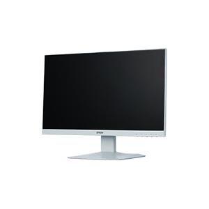 EPSON MC2Y003873 LD22W94L （21.5型ワイド/ 1920×1080/ ミニD-sub 15