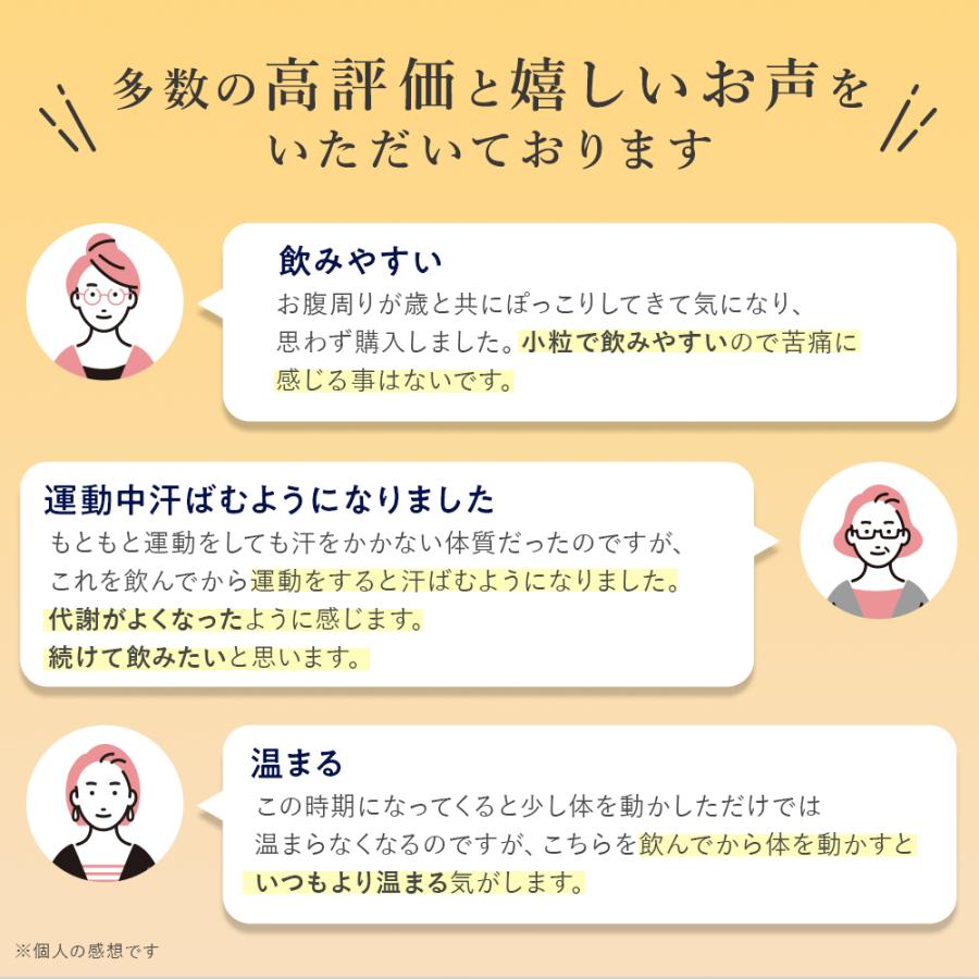 キラリズム スリリンファイア 1袋 温活 脂肪燃焼 サプリ キラリズム スリリンファイア 1袋 温活 脂肪燃焼 サプリ