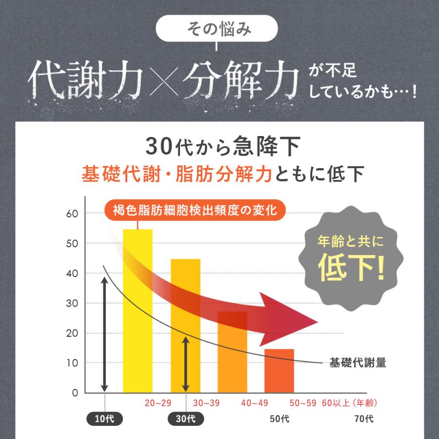 キラリズム スリリンファイア 1袋 温活 脂肪燃焼 サプリ キラリズム スリリンファイア 1袋 温活 脂肪燃焼 サプリ