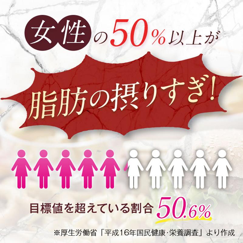 SLLIN W スリリンダブル 60粒 約1ヶ月分 機能性表示食品 乳酸菌 チャコール 体内サポート サプリメント ターミナリアベリリカ | キラリズム | 07